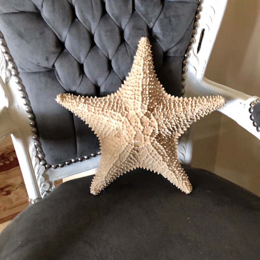 Large natural starfish